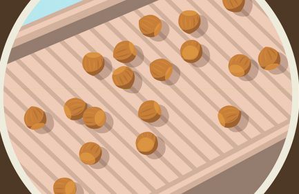 hazelnut illustration