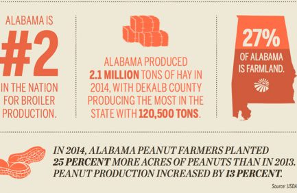Top Alabama Agricultural Products (infographic)