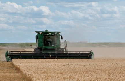 harvest