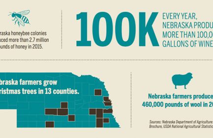 Nebraska Agriculture 2017 [INFOGRAPHIC]