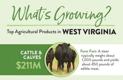 West Virginia Top 10 ag products