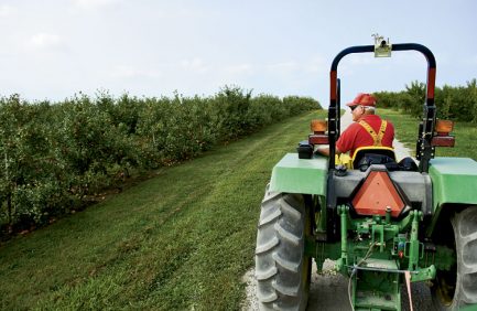 Eckert's Country Store and Orchards in Illinois