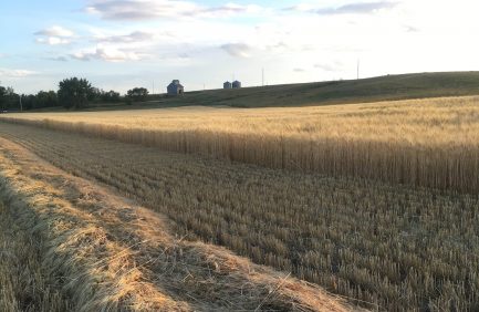 Farver Farms