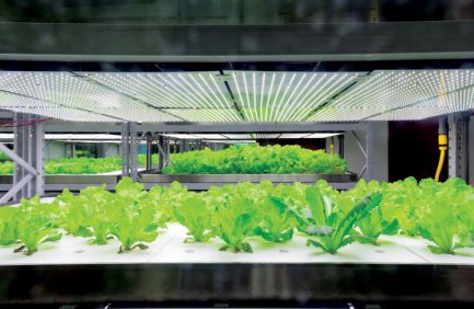 vertical farming