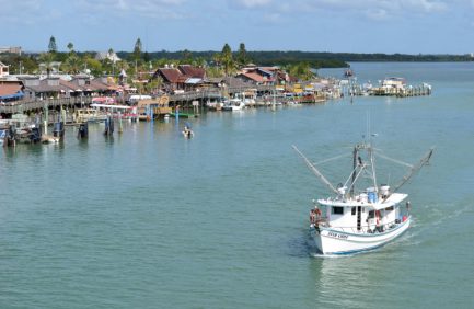 aquaculture