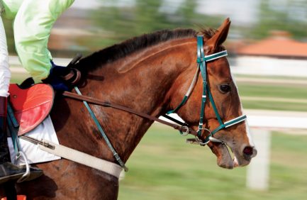 Racehorse triple crown