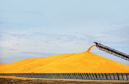 Pile of Corn At Ethanol Plant