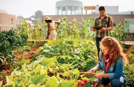 agriculture industry