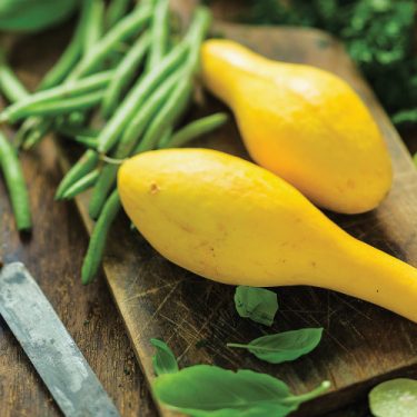 Italian Squash Medley recipe