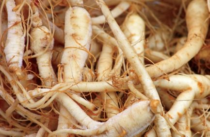 ginseng