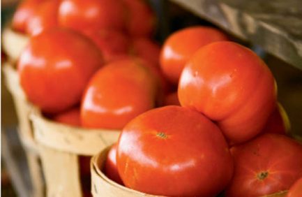 Study Finds Tomatoes' Color May Diminish Flavor