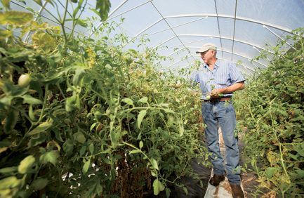 Farmer veterans