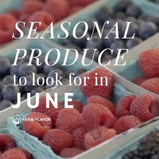 Look for these seasonal favorites at a farmers market near you this month! 🫐

#whatsinseason #seasonalfood #farmersmarket #seasonaleating #freshproduce