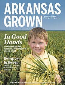Arkansas16v4W