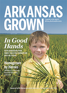 Arkansas16v4W