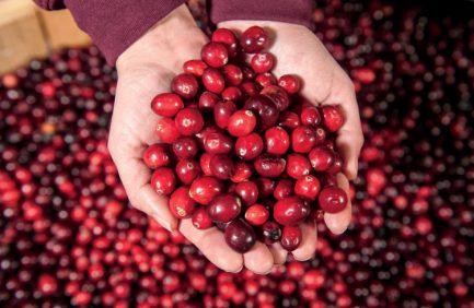 cranberries