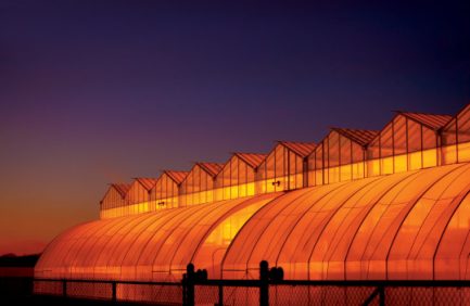 Agricenter International