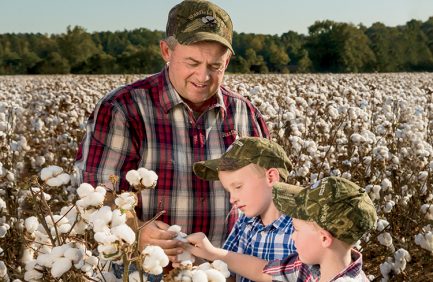 Tennessee|family farms