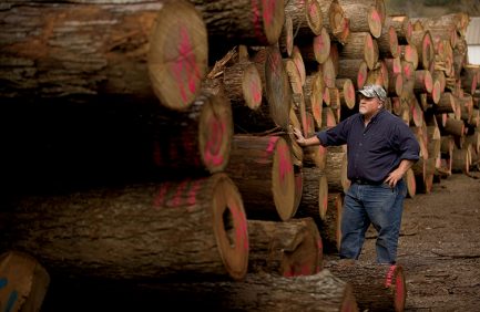 TN|Promark saw mill in Prospect