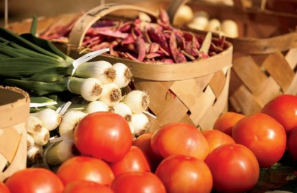 Tennessee Farmers Markets|Franklin Farmers Market