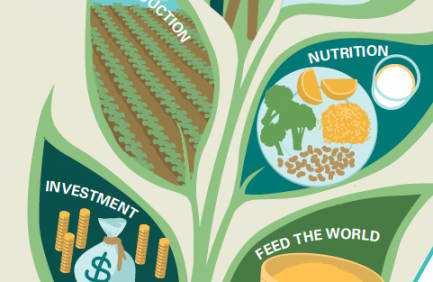 Tennessee Ag Exports [INFOGRAPHIC]|Tennessee Ag Exports [INFOGRAPHIC]