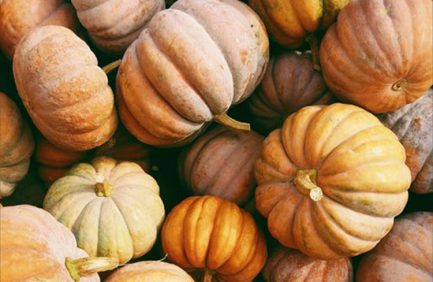 pumpkins