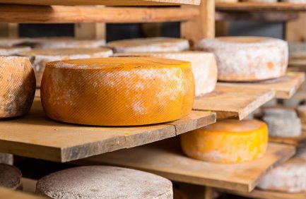 Cheese