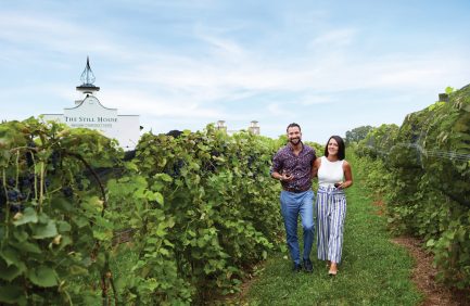 Gervasi Vineyard
