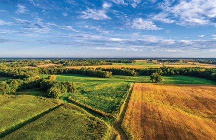 farmland