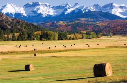 Hay field with San Juan range in background