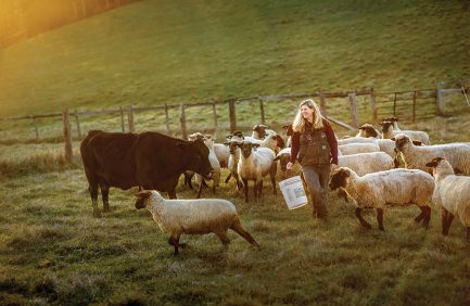 Potter Farm; Virginia livestock farmers
