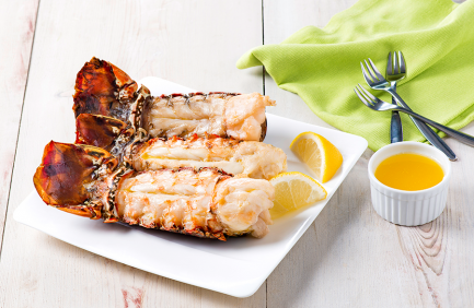 spiny lobster