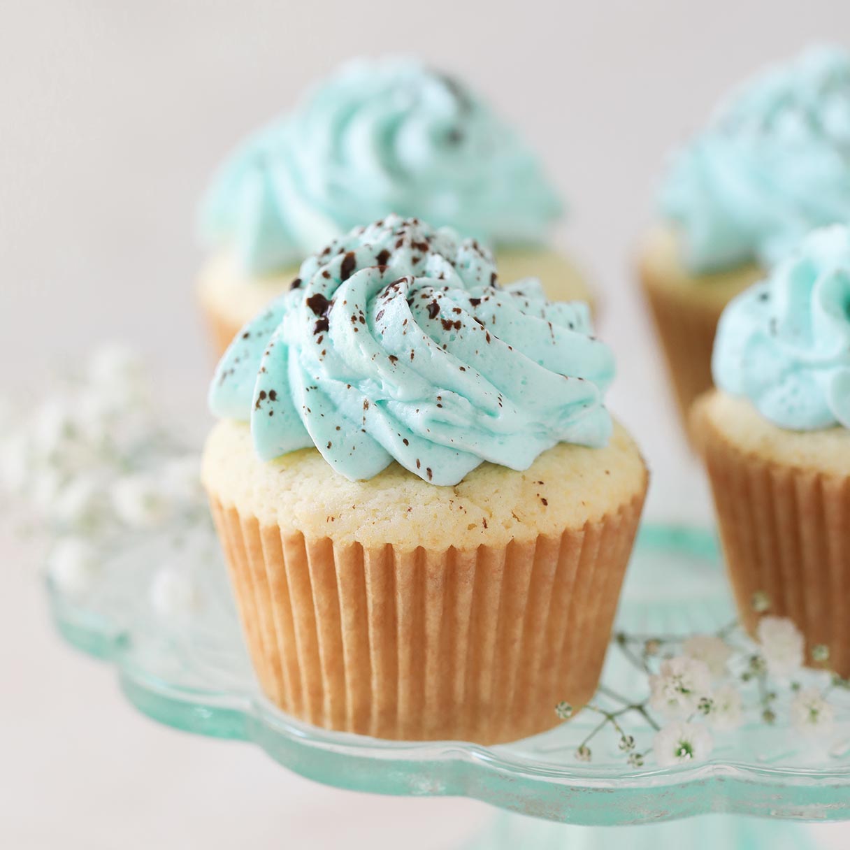 Robin Egg Speckled Cupcakes