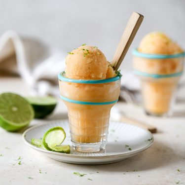 Cantaloupe Citrus Sorbet