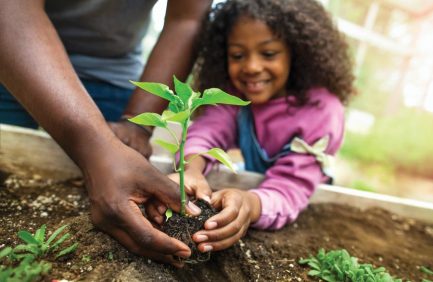 gardening