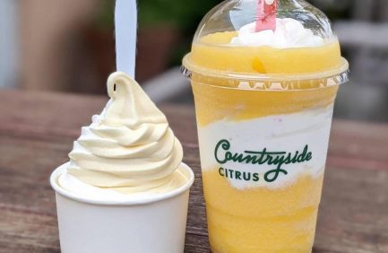 Florida agritourism destinations