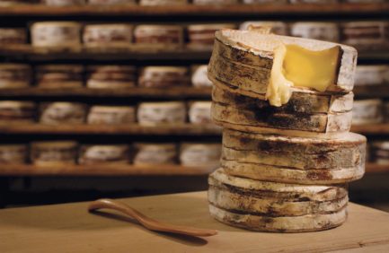 Uplands Cheese