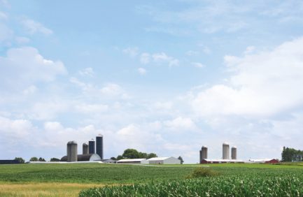 Farm