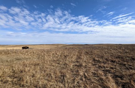 Bison Ranch Lodge & Outfitters; North Dakota agritourism