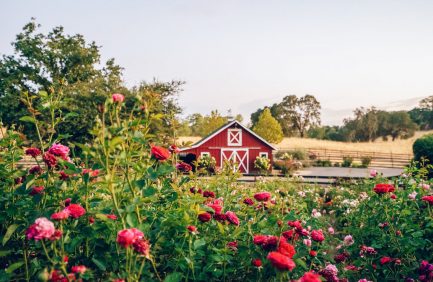 Jordan Vineyard & Winery