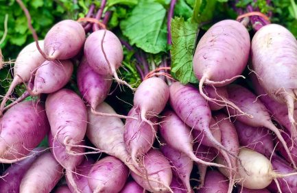 Davis Farmers Market