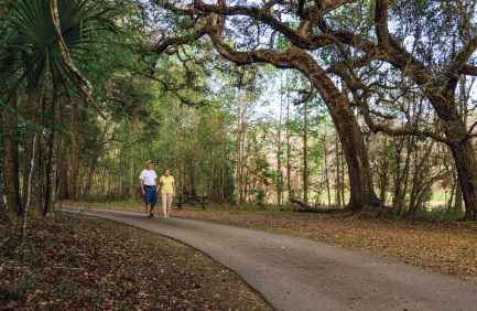 Florida State Forests