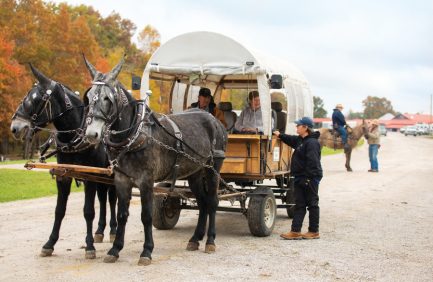 Grady and Carol George talk with Anna Nichols during a Tennessee Mule Skinners event.