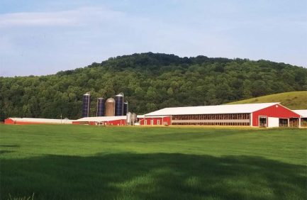 Ingleside Dairy Farm LLC