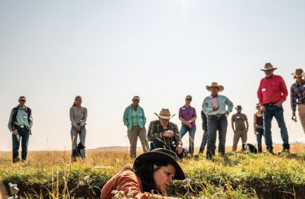 Apprentices at a field day learning soil health