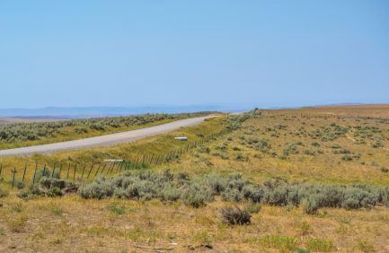 Drought-affected fields in Colorado