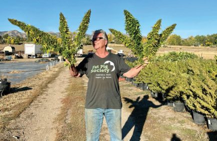 Bill Althouse holding hemp