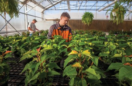 Wisconsin 4-H