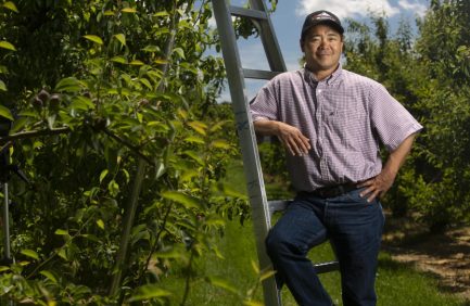 Randy Kiyokawa, owner of Kiyokawa Family Orchards