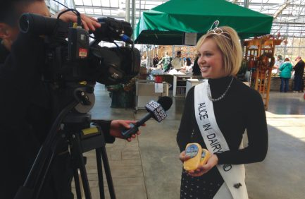 Alice in Dairyland
